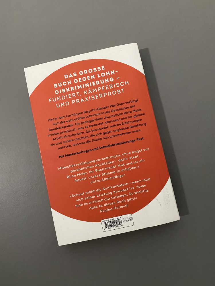 Birte Meier Equal Pay Now! l Feminismus Sachbuch