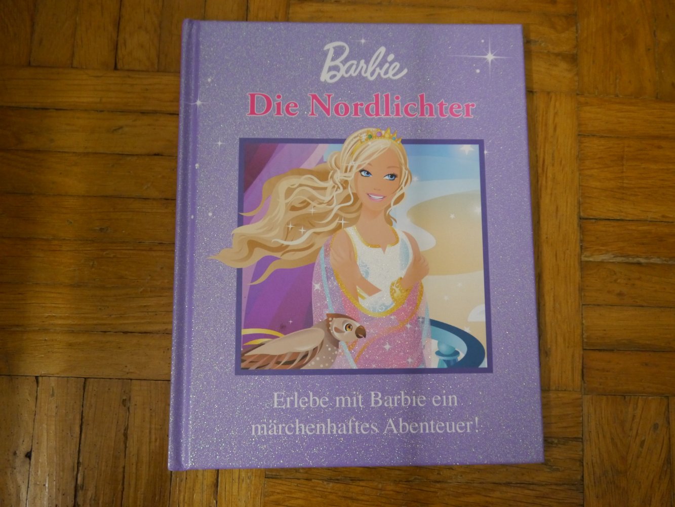 Barbie Die Nordlichter