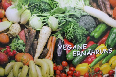 NP 24,95 € Matthias Langwasser VEGANE KOCHKUNST Kochbuch Rezeptbuch