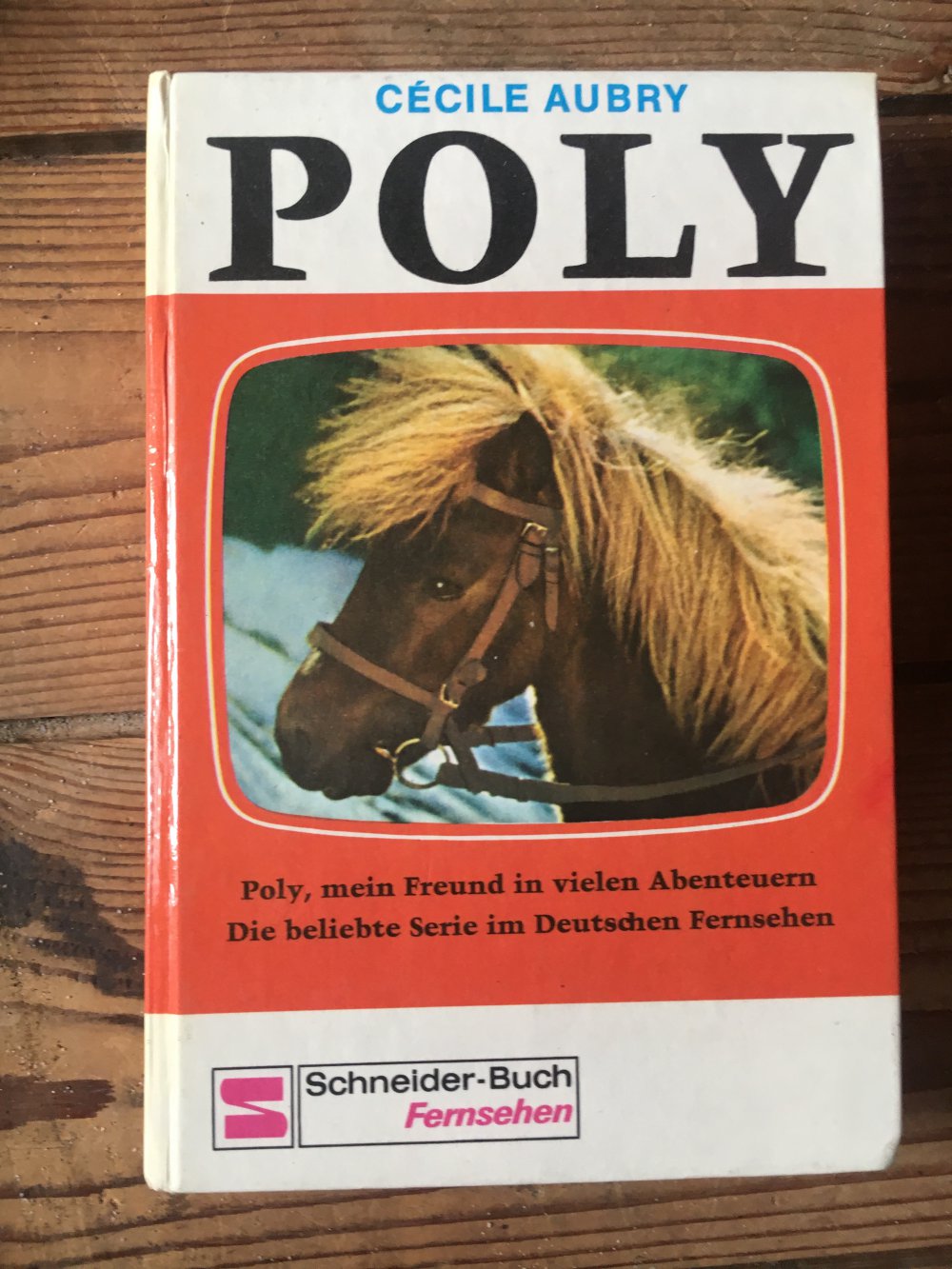 Poly (Gebundenes Buch)