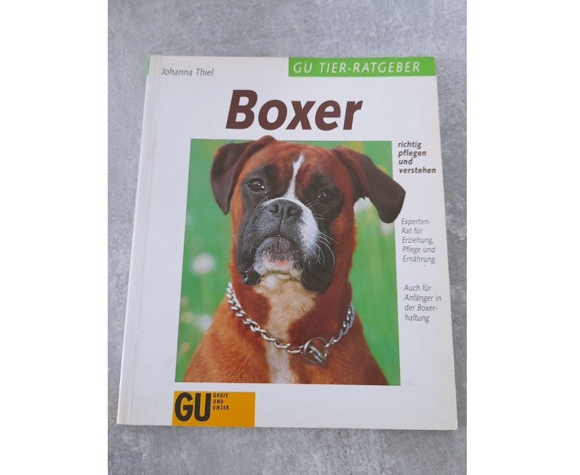 Boxer Hunderasse Haltung und Pflege