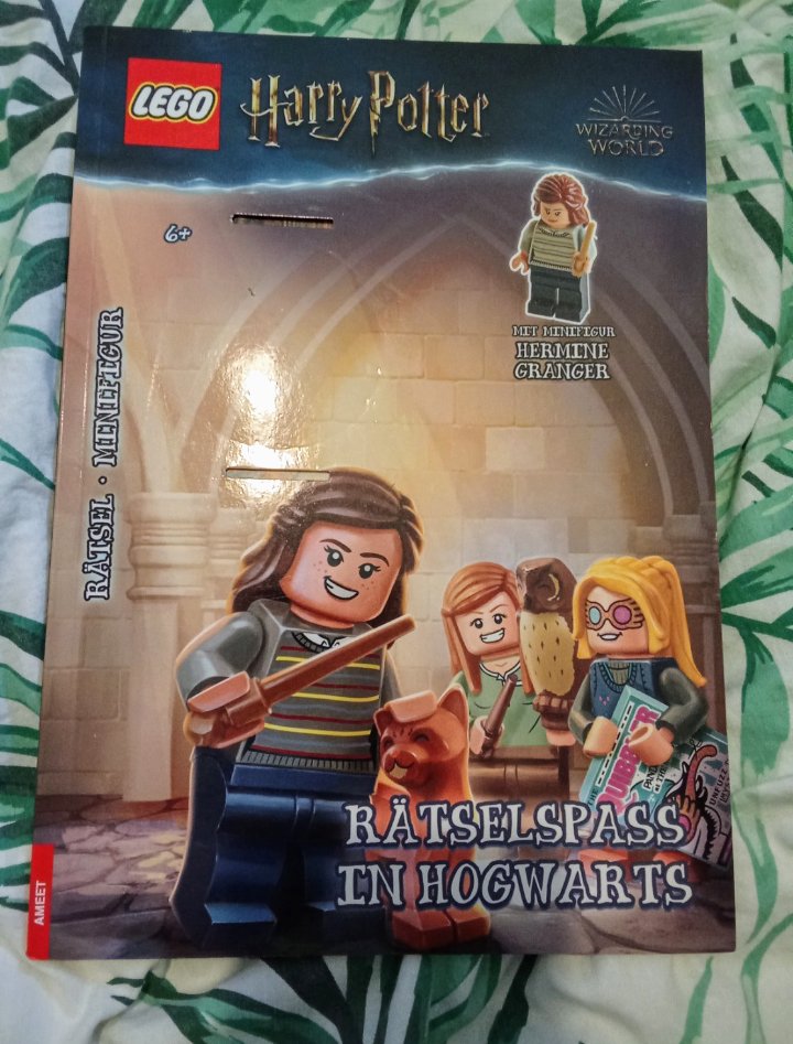 Lego Harry Potter Rätselspaß in Hogwarts OHNE Minifigur