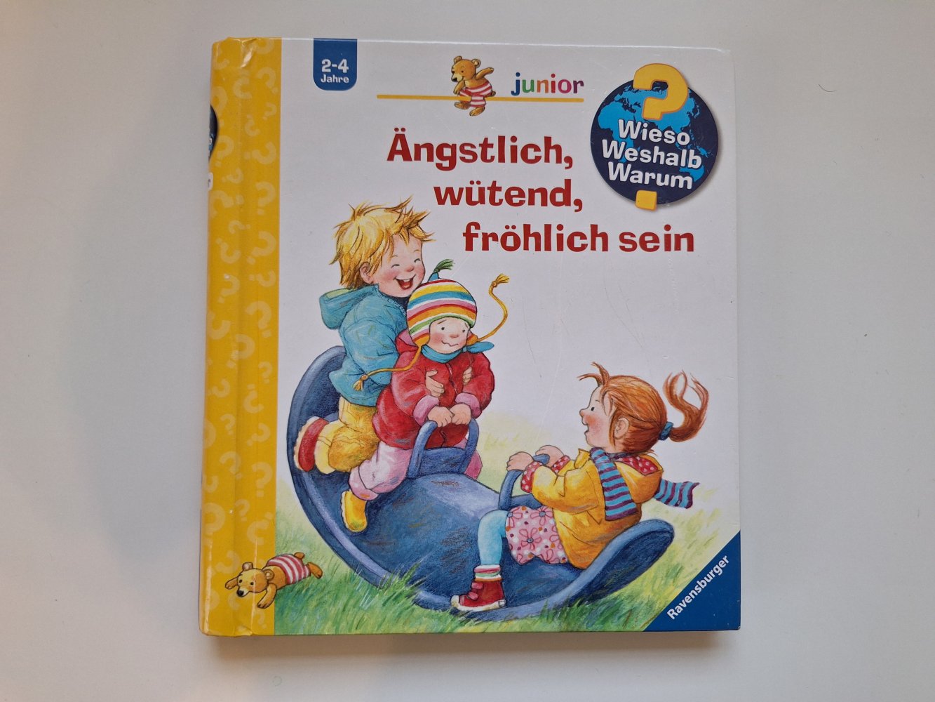 Klappenbuch Wieso weshalb warum 2-4 