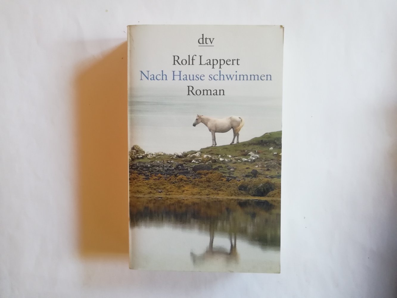 Nach Hause schwimmen