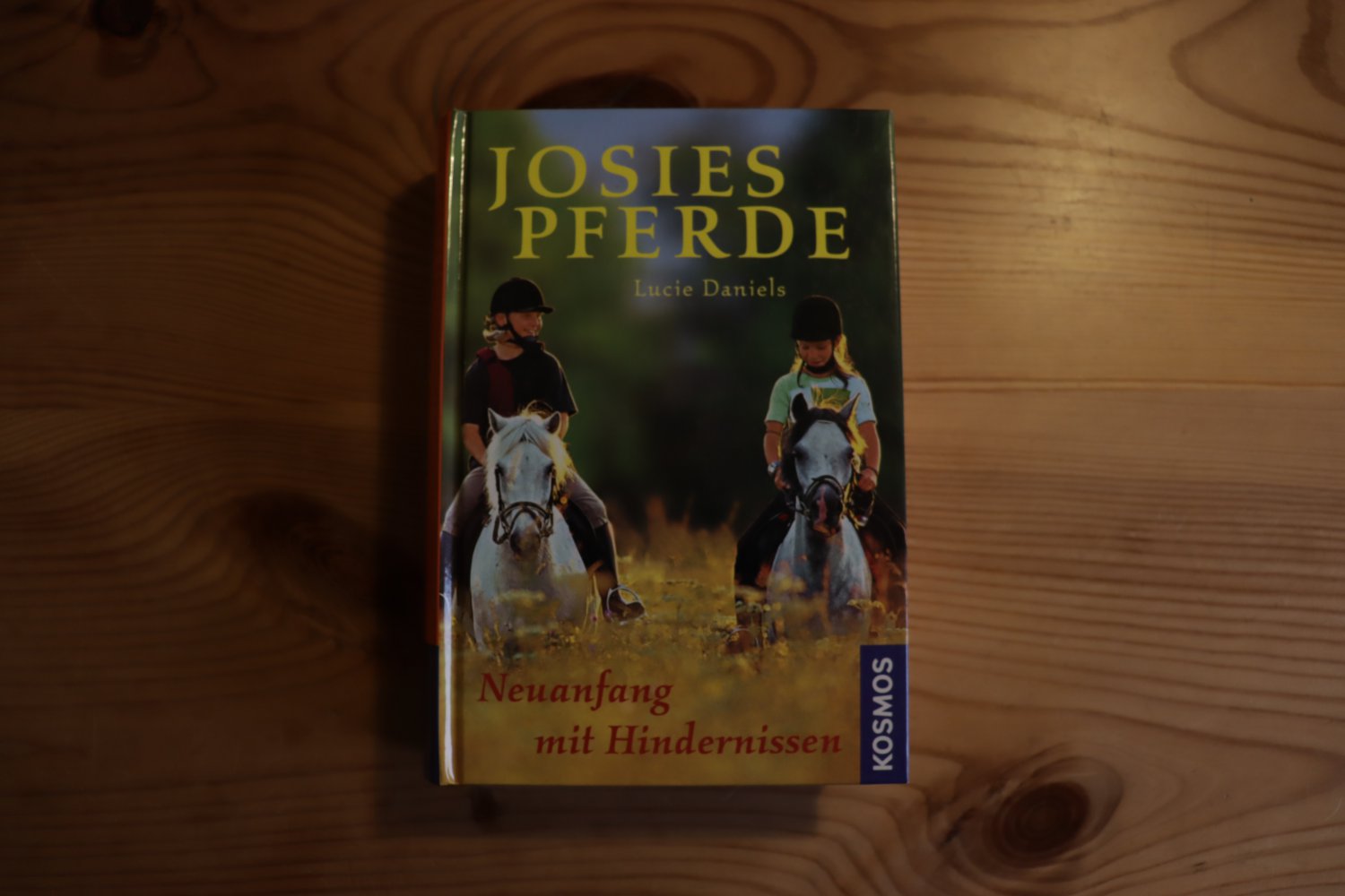 Josies Pferde - Neuanfang mit Hindernissen