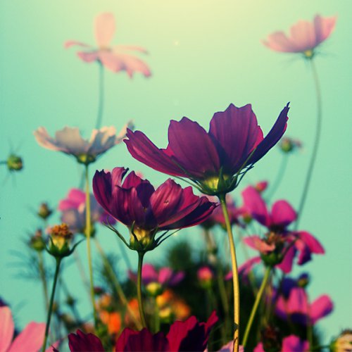 Sommerkind88
