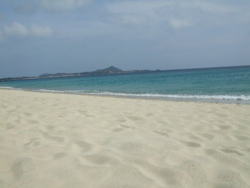 mandeleis