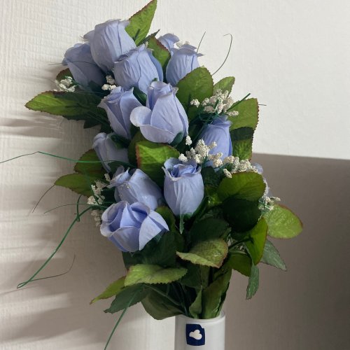 adara0601