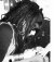 Pfeffer_Minza