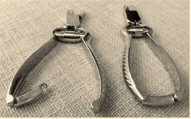 2 x Nagelzange von Mörser Solingen - 13 cm Länge, vernickelt 