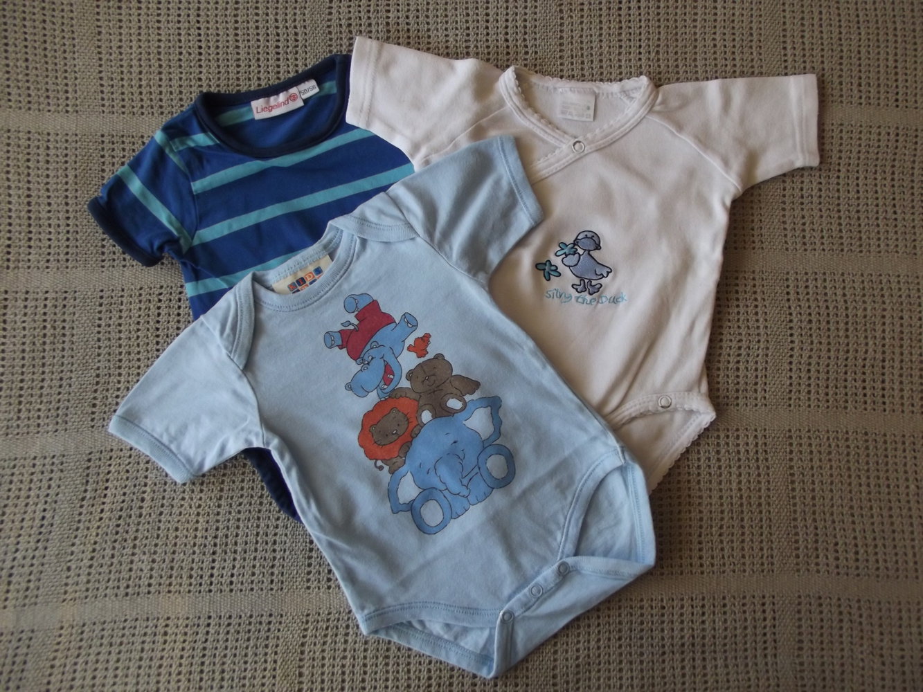 Sechs süße Body´s  Gr. 50/56 