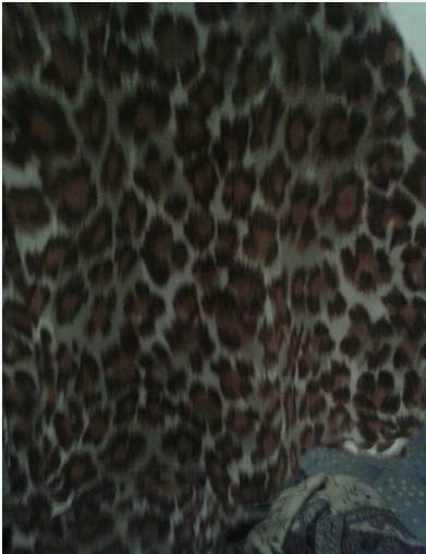 Schönes Leoparden tuch