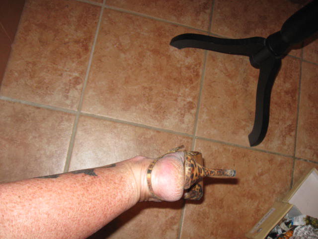 *** Pumps ~ Leo ~ Spitz ~ Chic ***