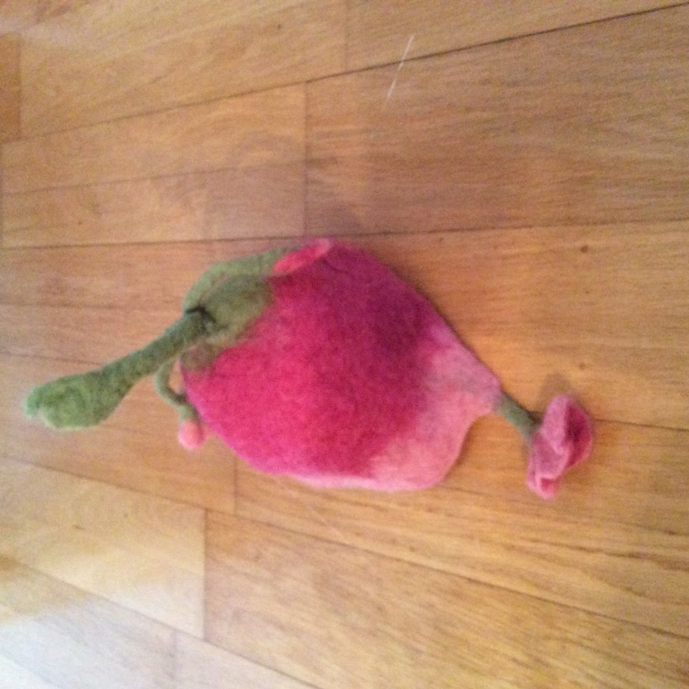 Waldorf Mütze gefilzt handgemacht neu Filz Mütze  