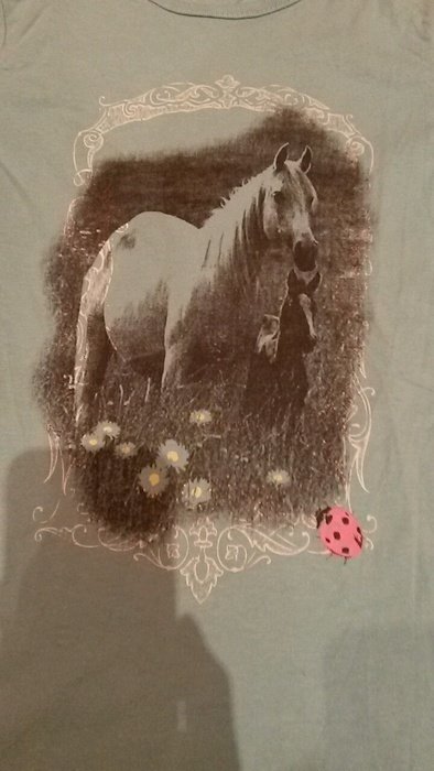 Lieblingsshirt mit Pferden blue seven