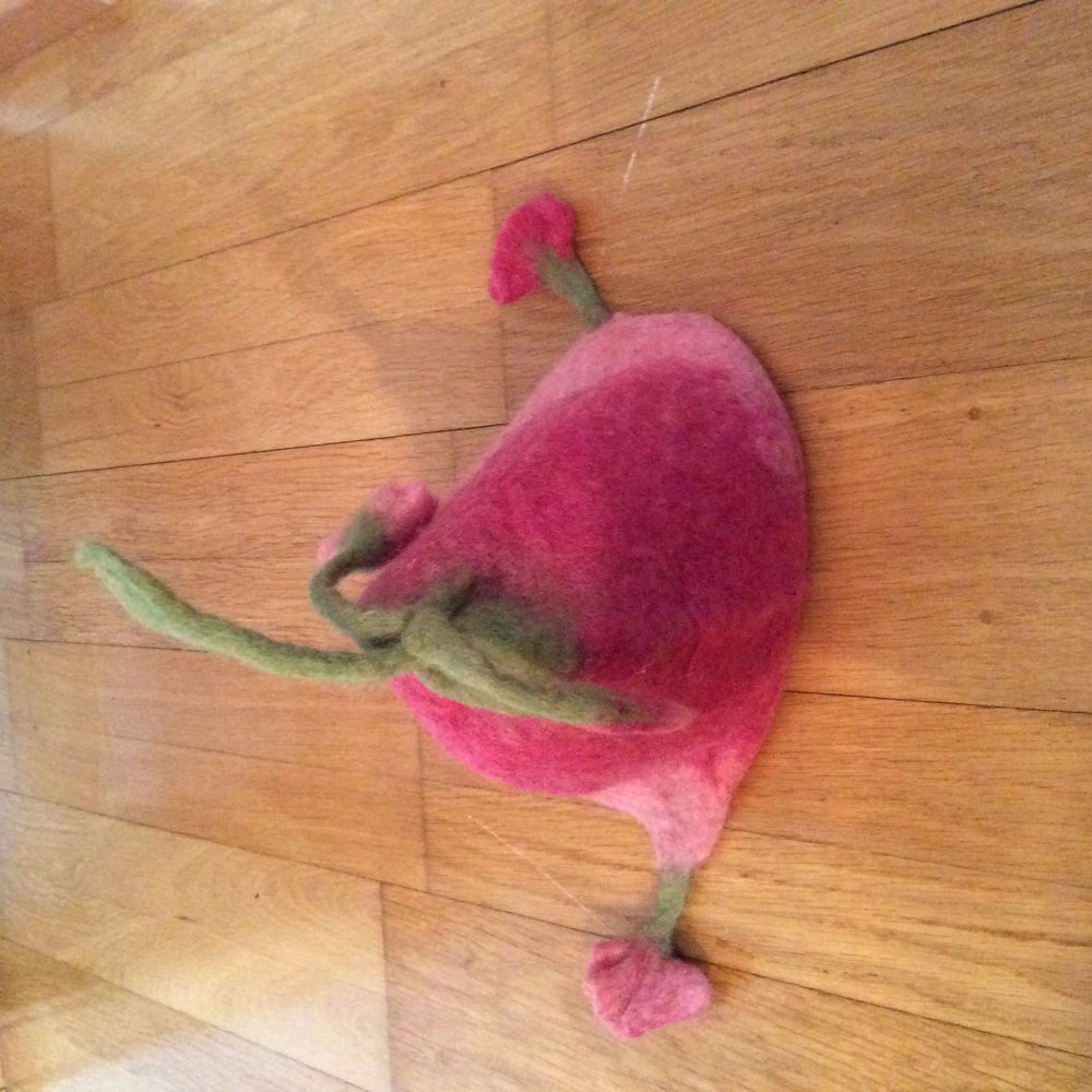 Waldorf Mütze gefilzt handgemacht neu Filz Mütze  