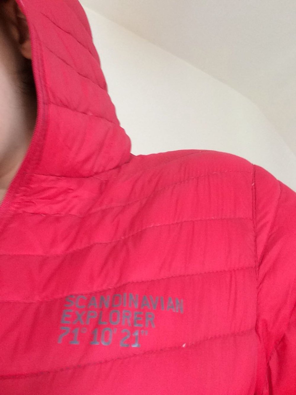 Scandinavian Explorer Winterjacke ultra leichte Daunenjacke Scandinavian Explorer Winterjacke ultra leichte Daunenjacke