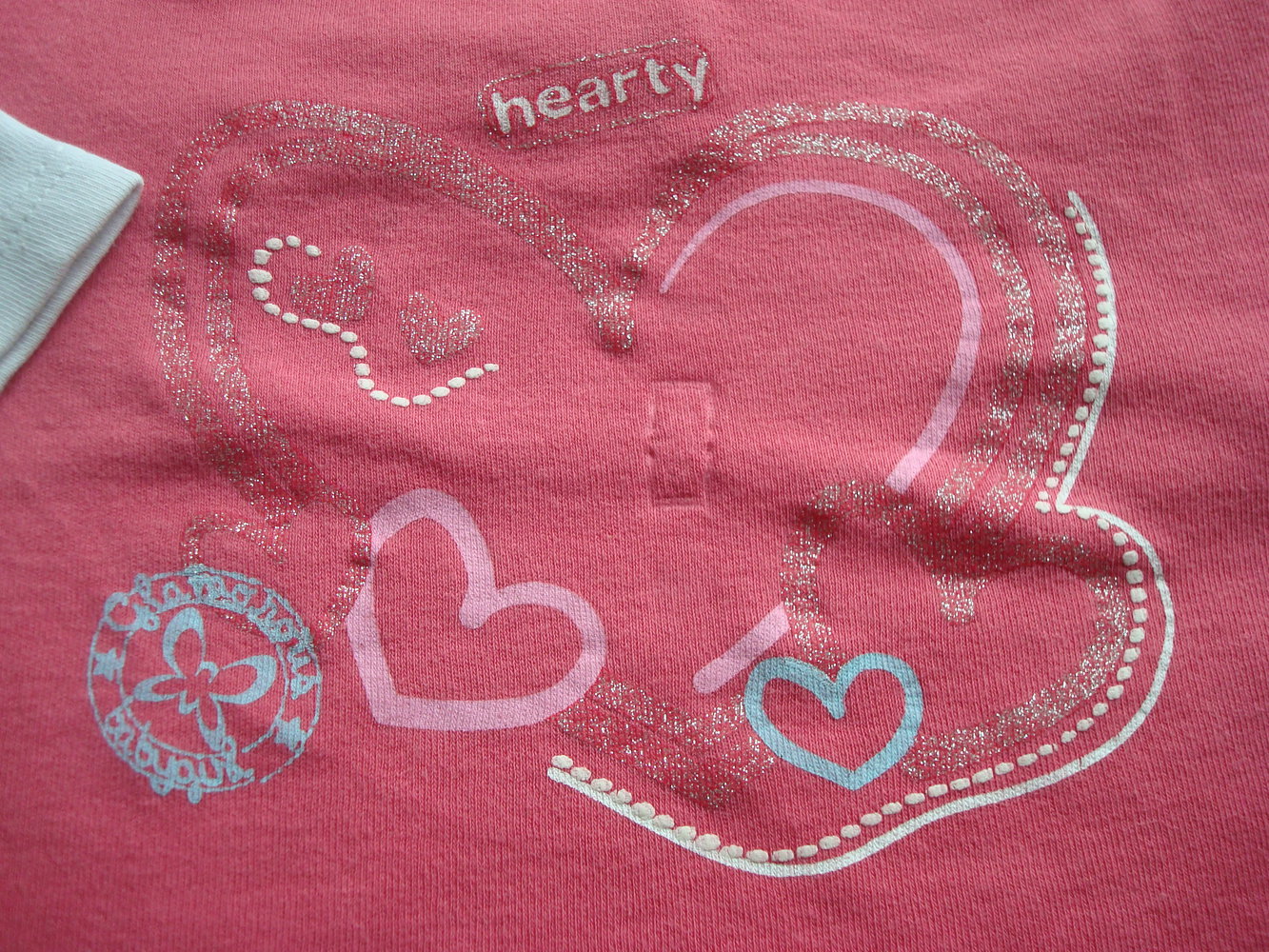 Langarmshirt, Shirt mit süßem Aufdruck Gr. 80