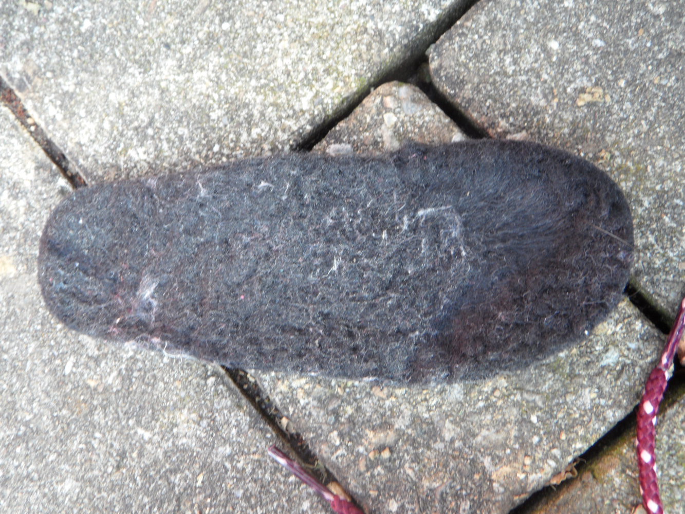 Die Maus - Winterstiefel Gr. 23