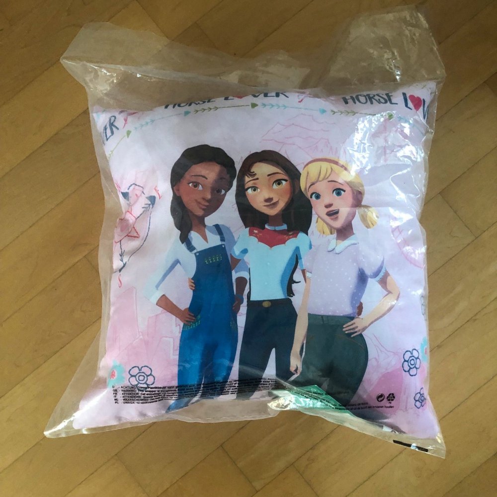 Deko Kissen Spirit neu 