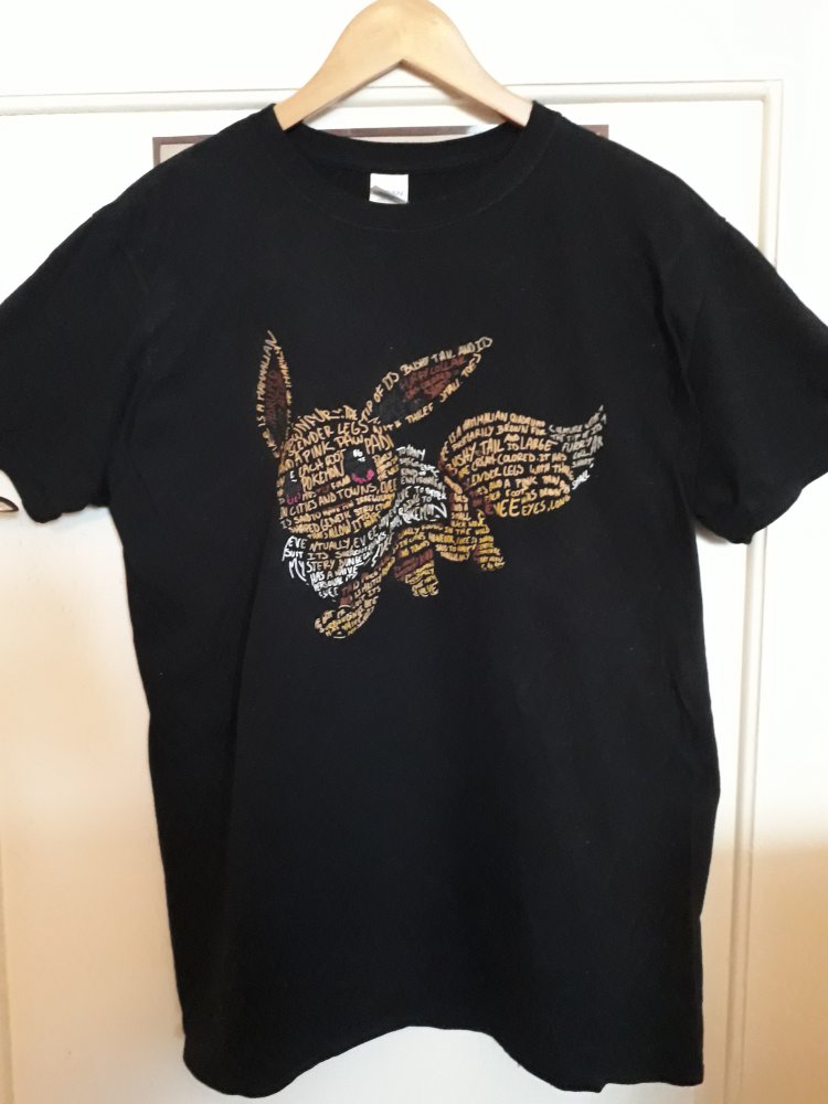 Fan Shirt Pokemon 