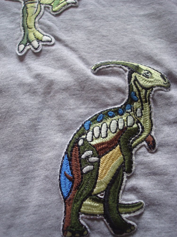 Langarmshirt H&M mit Dinos