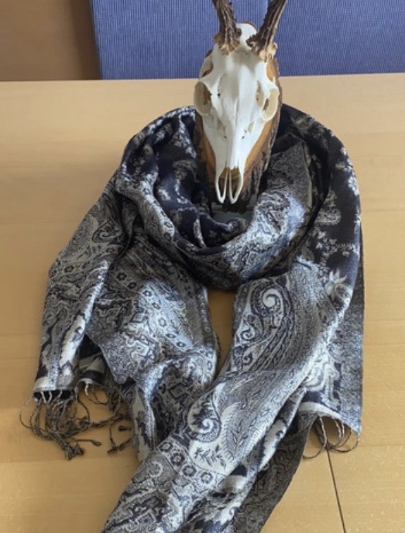 Schal mit Paisleymuster