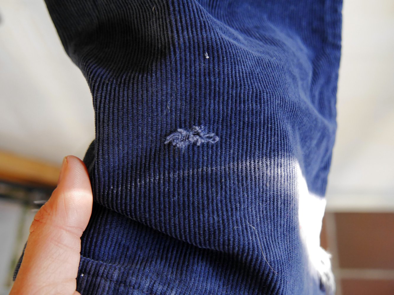 Levis Cordhose 551 dunkelblau 33 / 32 Cord Feincord marine blau Levi`s