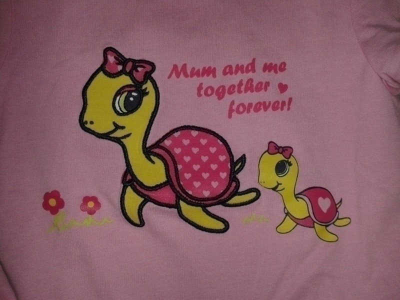 Super süßes Shirt Gr. 62 