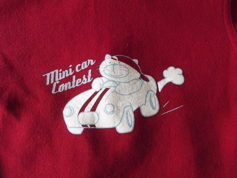 Sehr schönes 2 in 1 Jäckchen mit Kapuze und herausnehmbarer innen Jacke 