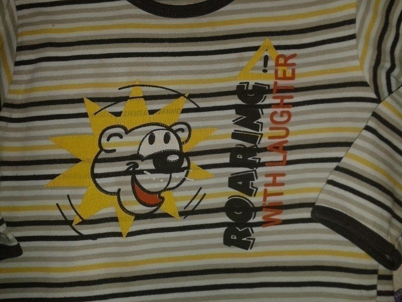 Süßes Shirt Gr. 74