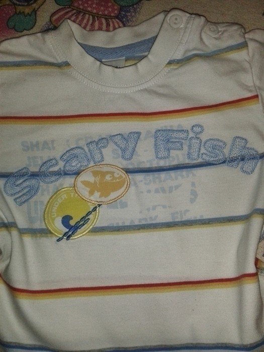 Sehr süßes Shirt Gr. 80 