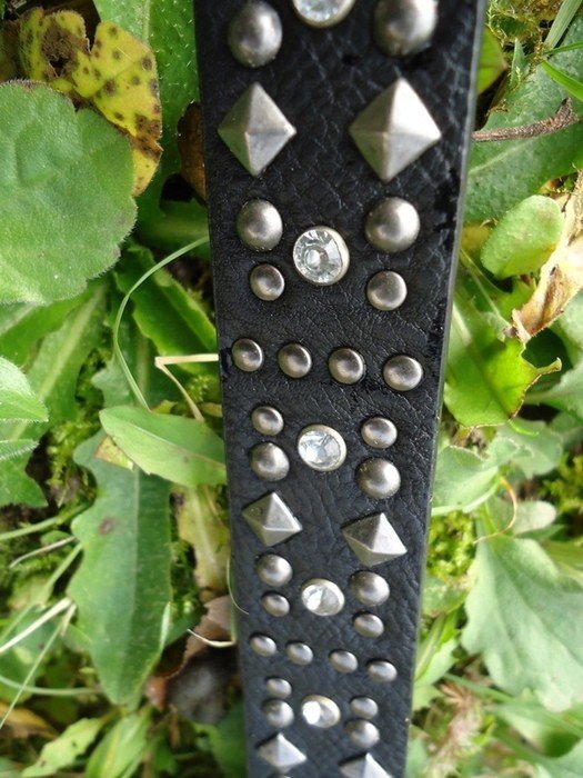   Der schmale Taillengürtel mit Metallschließe 