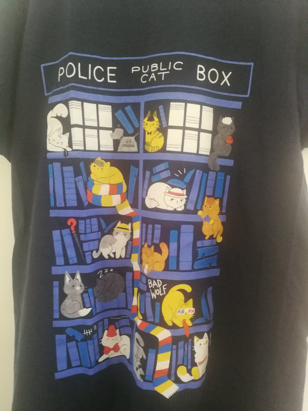 Blaues Shirt Cat Box L