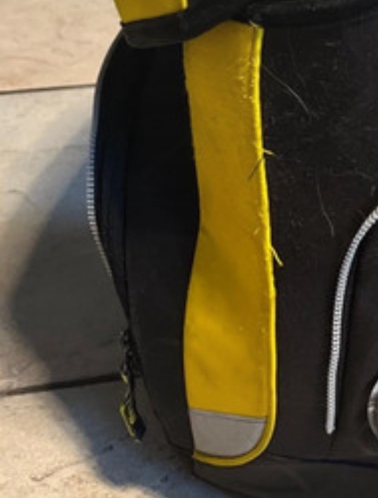 Ergobag Tornister Schulranzen BVB Borussia Dortmund