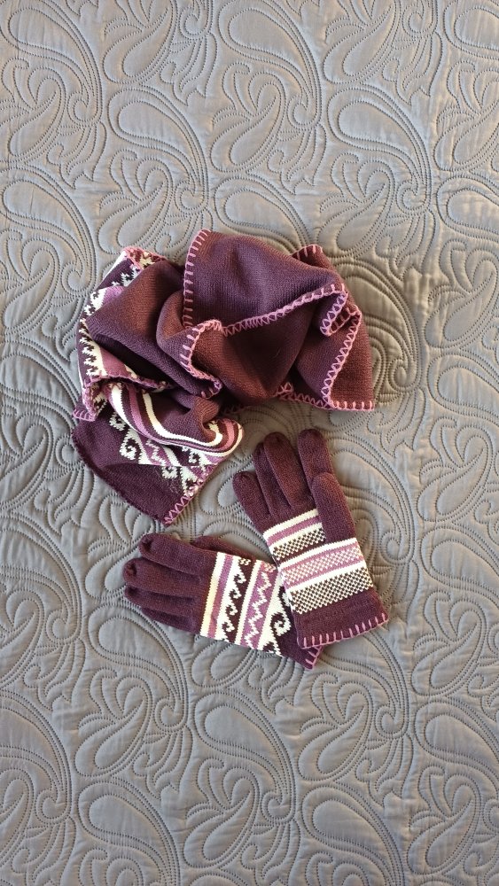 Schal und Handschuhe