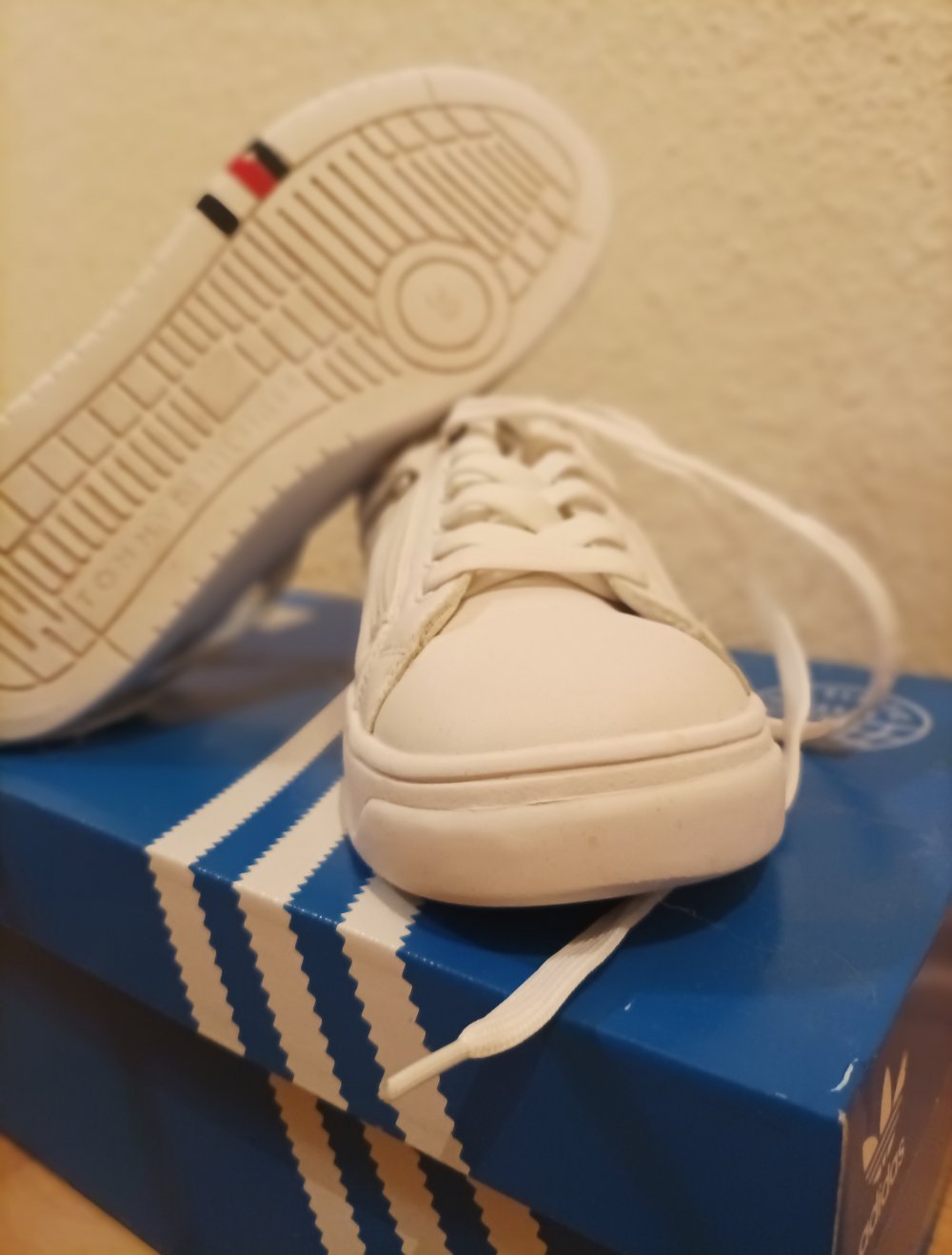 Sneaker _ Tommy Hilfiger