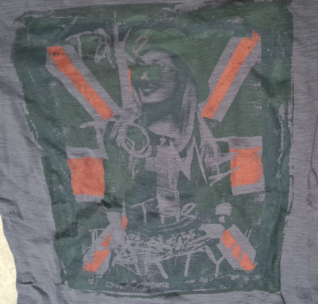 Graublaues Longsleeve-Shirt von Emoi by Emonite mit Aufdruck