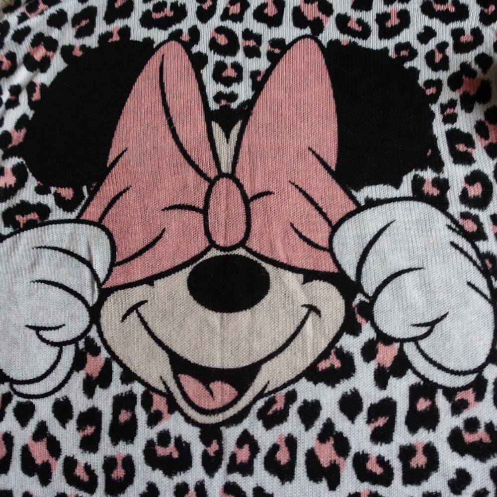 Pullover, Feinstrickpullover, Leo, Gr. XS bzw. ca. Gr. 34, H&M Divided