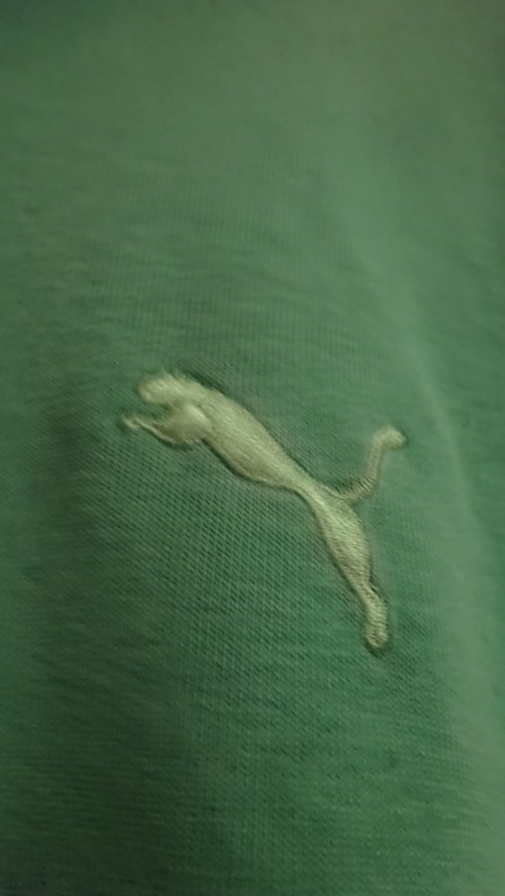 Hoodie Herren Langarm innen angeraut