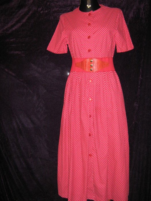 NEUw * Original Landaus VINTAGE * Romantik * Rockabilly * Petit * Mille Fleurs * Punkte * Polka Dots * Hemdblusen * Kleid * Gr. 36- 38/ S * rot * weiß *