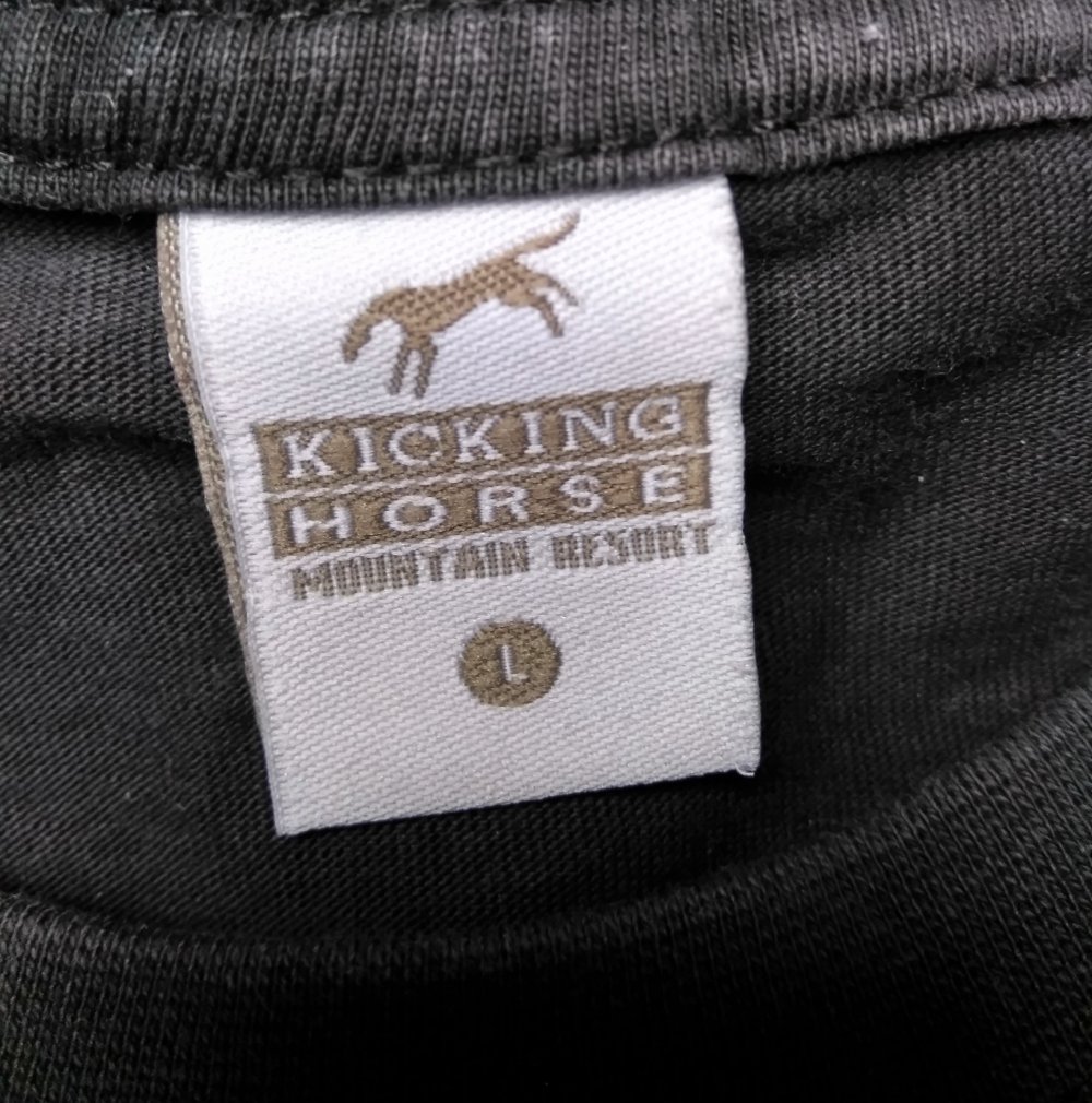 Kicking Horse Mountain Resort BC Ski Snowboard Kanada schwarz